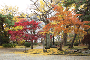 千秋公園