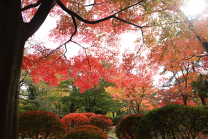 千秋公園