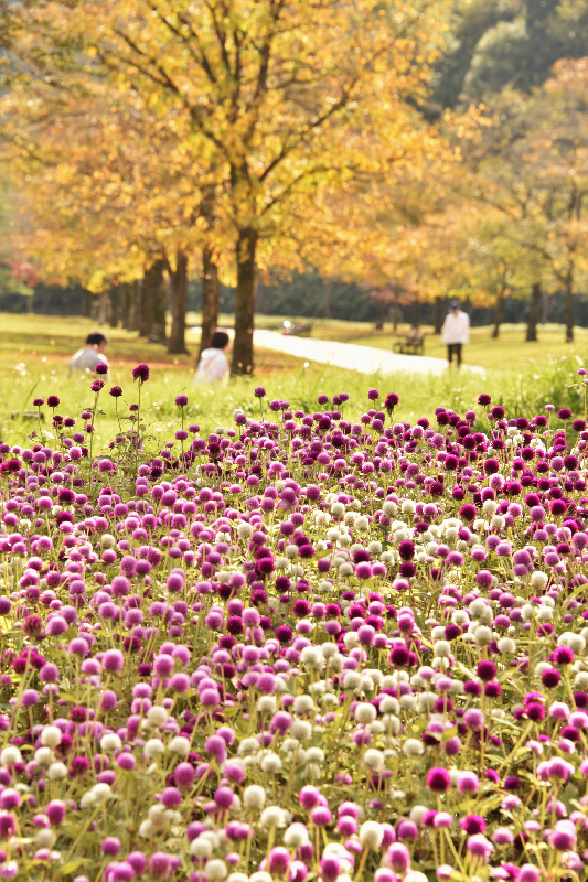 太平山リゾート公園