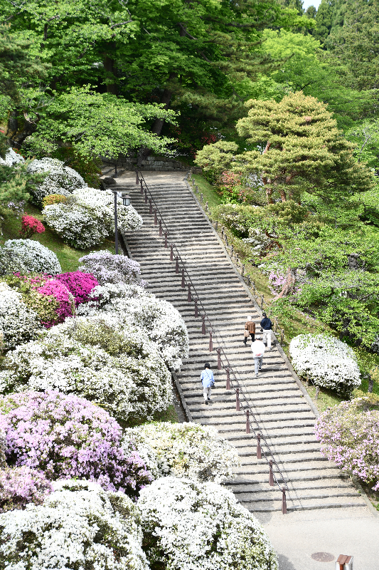 千秋公園 - 秋田市営あきた観光写真館－画像素材・写真ダウンロード