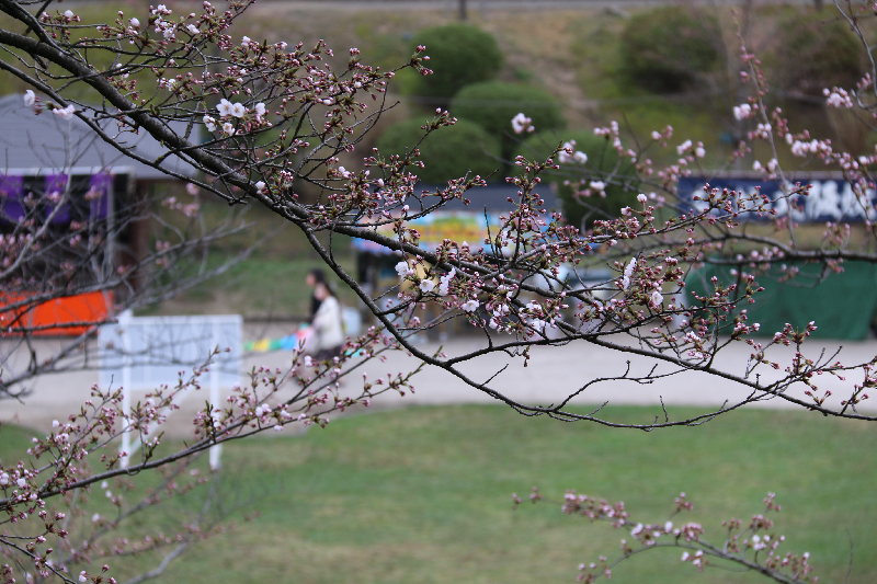 千秋公園