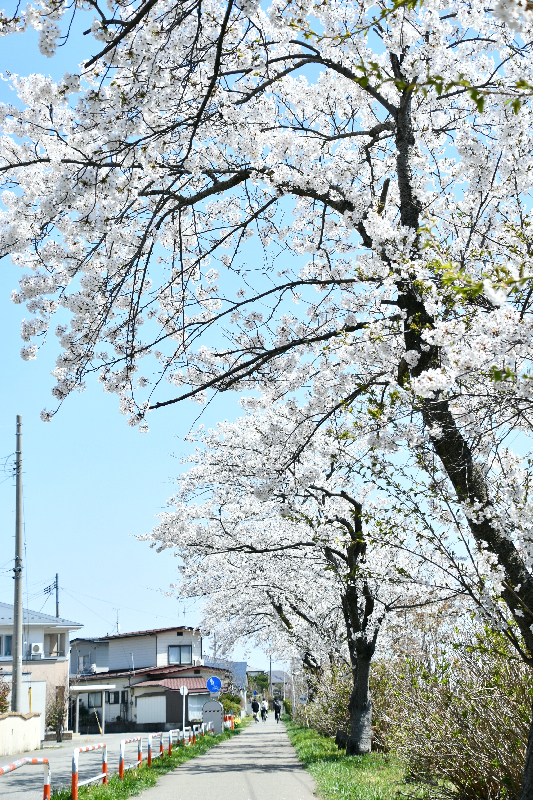 泉外旭川駅