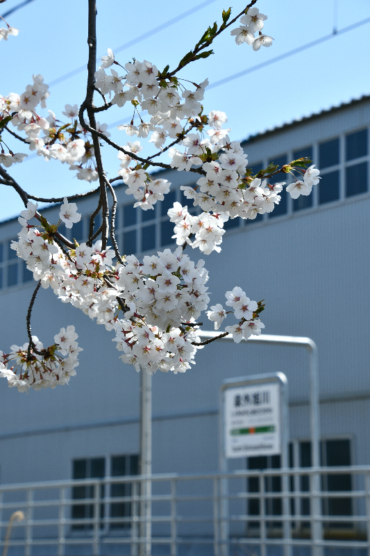 泉外旭川駅