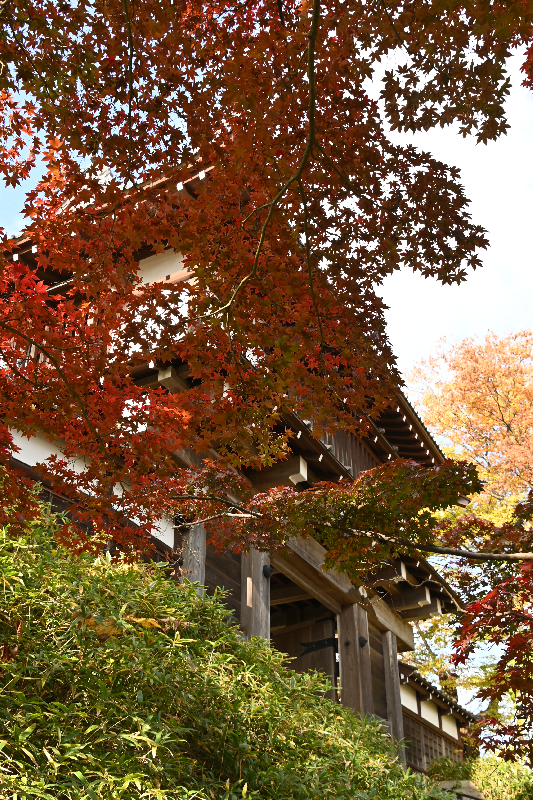 千秋公園