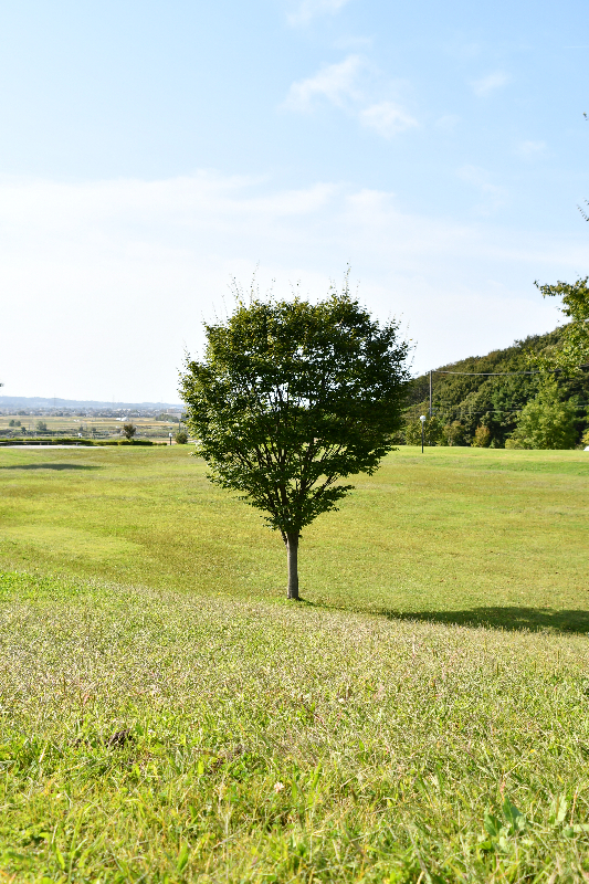 御所野ふれあい地区公園