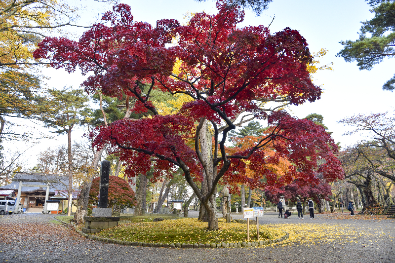 千秋公園