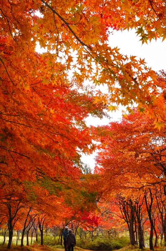 旭川ダム公園