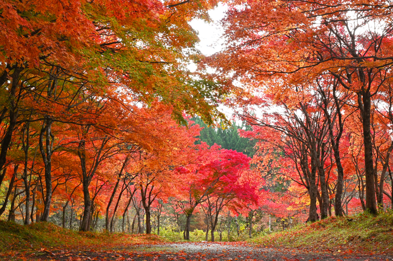 旭川ダム公園