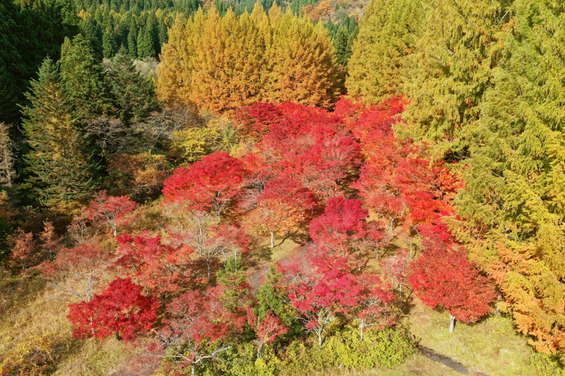 旭川ダム公園