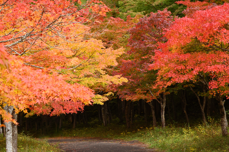 旭川ダム公園