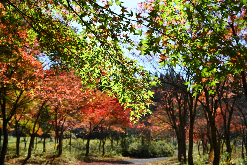 旭川ダム公園